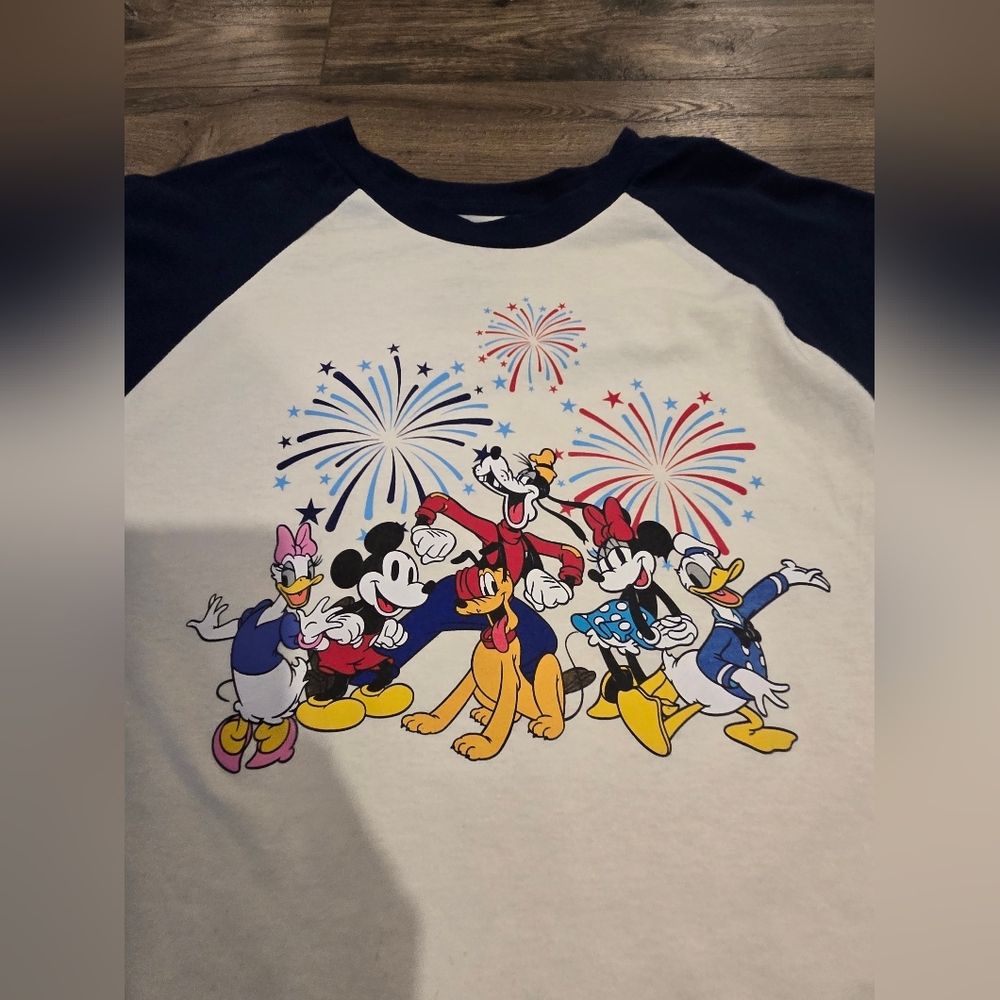 Disney Limited Screen Print Tee